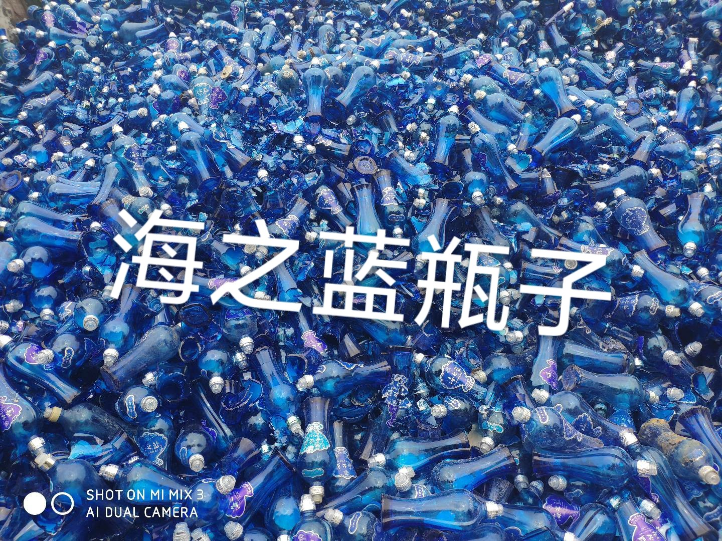 云龙区海之蓝瓶回收